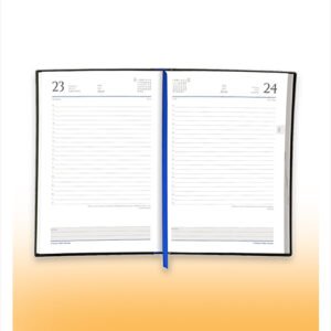 Agenda diaria ejecutiva